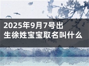 2025年9月7号出生徐姓宝宝取名叫什么