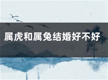 属虎和属兔结婚好不好