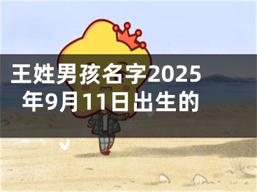 王姓男孩名字2025年9月11日出生的