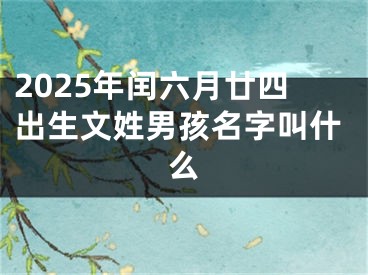 2025年闰六月廿四出生文姓男孩名字叫什么