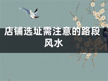 店铺选址需注意的路段风水