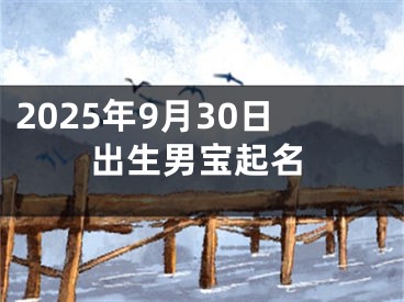 2025年9月30日出生男宝起名
