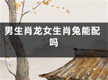 男生肖龙女生肖兔能配吗