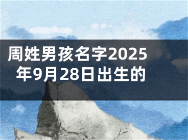 周姓男孩名字2025年9月28日出生的