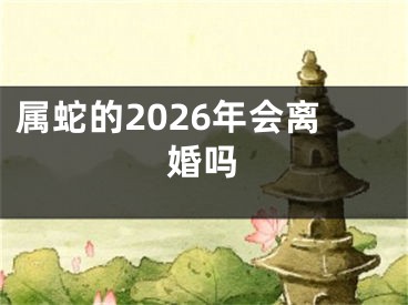 属蛇的2026年会离婚吗