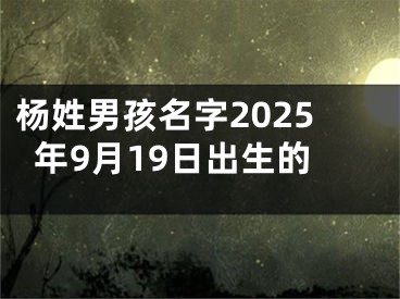 杨姓男孩名字2025年9月19日出生的