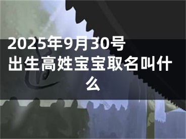 2025年9月30号出生高姓宝宝取名叫什么