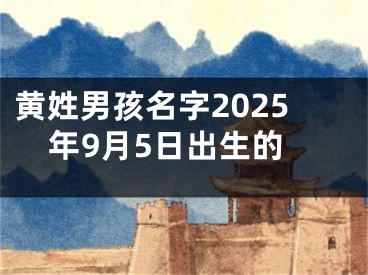 黄姓男孩名字2025年9月5日出生的