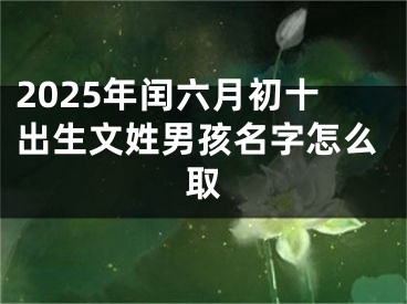 2025年闰六月初十出生文姓男孩名字怎么取