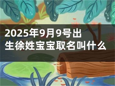 2025年9月9号出生徐姓宝宝取名叫什么
