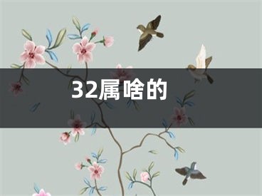 32属啥的