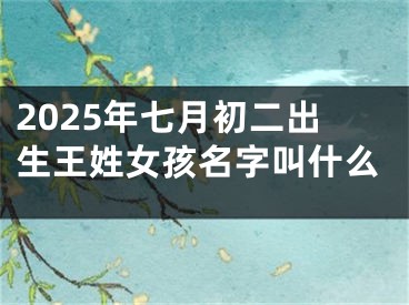 2025年七月初二出生王姓女孩名字叫什么
