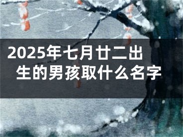2025年七月廿二出生的男孩取什么名字