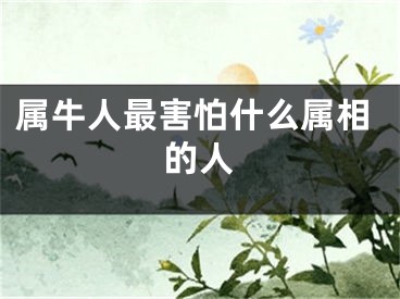 属牛人最害怕什么属相的人