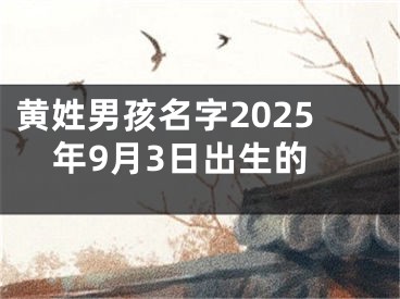 黄姓男孩名字2025年9月3日出生的