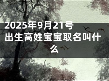 2025年9月21号出生高姓宝宝取名叫什么