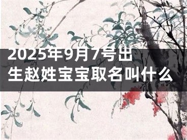 2025年9月7号出生赵姓宝宝取名叫什么