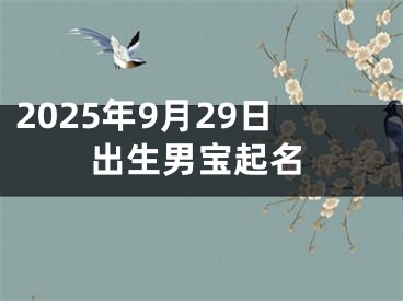 2025年9月29日出生男宝起名