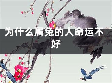 为什么属兔的人命运不好