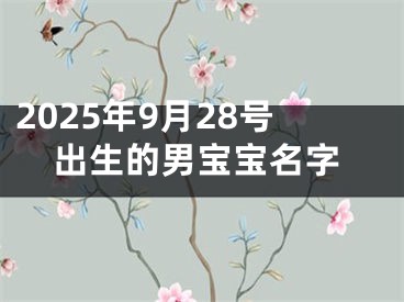 2025年9月28号出生的男宝宝名字