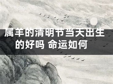 属羊的清明节当天出生的好吗 命运如何