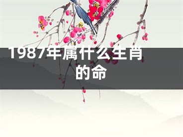 1987年属什么生肖的命
