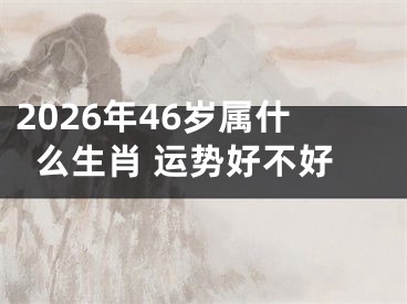 2026年46岁属什么生肖 运势好不好