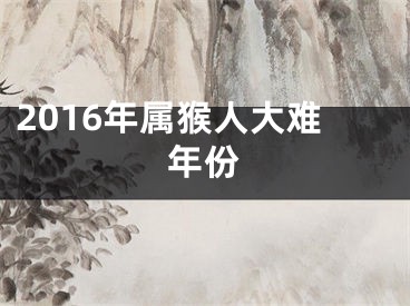 2016年属猴人大难年份