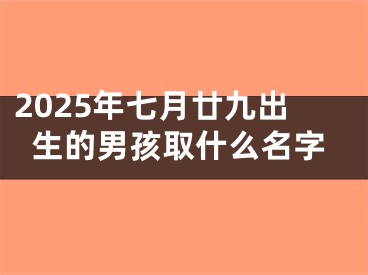 2025年七月廿九出生的男孩取什么名字