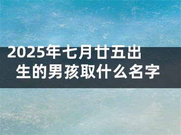 2025年七月廿五出生的男孩取什么名字