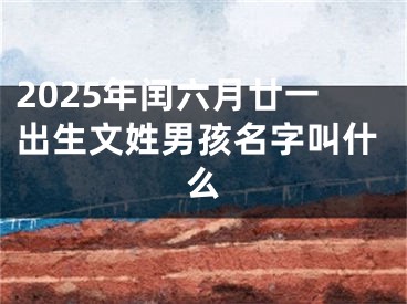 2025年闰六月廿一出生文姓男孩名字叫什么