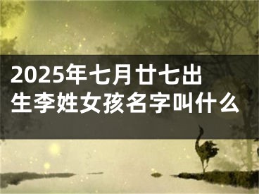 2025年七月廿七出生李姓女孩名字叫什么