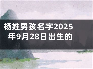 杨姓男孩名字2025年9月28日出生的