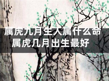 属虎九月生人属什么命 属虎几月出生最好
