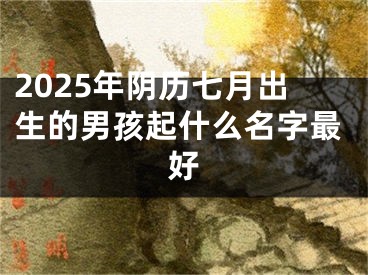 2025年阴历七月出生的男孩起什么名字最好