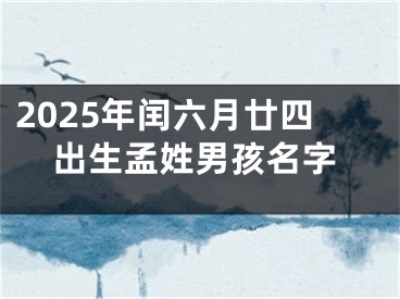 2025年闰六月廿四出生孟姓男孩名字