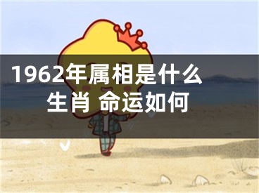 1962年属相是什么生肖 命运如何
