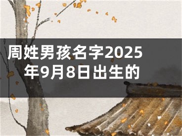 周姓男孩名字2025年9月8日出生的