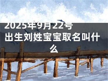 2025年9月22号出生刘姓宝宝取名叫什么