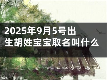2025年9月5号出生胡姓宝宝取名叫什么