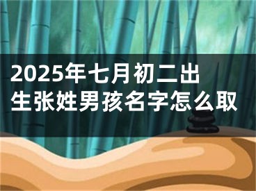 2025年七月初二出生张姓男孩名字怎么取