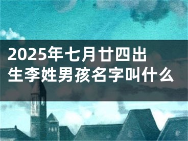 2025年七月廿四出生李姓男孩名字叫什么