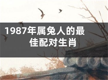 1987年属兔人的最佳配对生肖