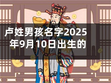 卢姓男孩名字2025年9月10日出生的