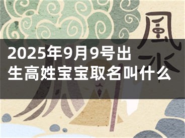 2025年9月9号出生高姓宝宝取名叫什么