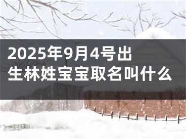 2025年9月4号出生林姓宝宝取名叫什么