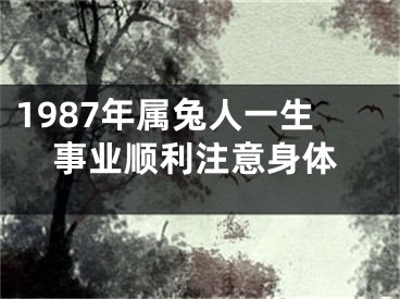 1987年属兔人一生事业顺利注意身体