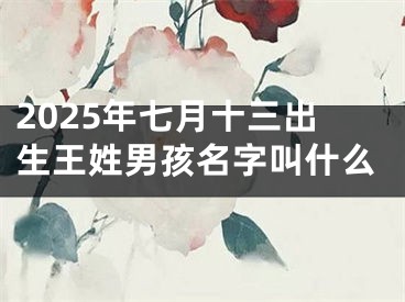 2025年七月十三出生王姓男孩名字叫什么