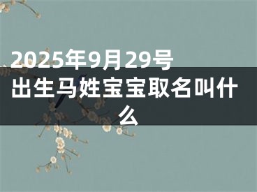 2025年9月29号出生马姓宝宝取名叫什么