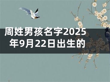周姓男孩名字2025年9月22日出生的